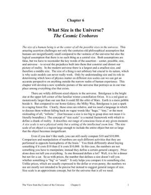 What Size Is the Universe? the Cosmic Uroboros