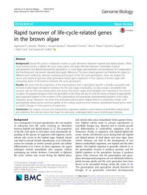 Rapid Turnover of Life-Cycle-Related Genes in the Brown Algae Agnieszka P