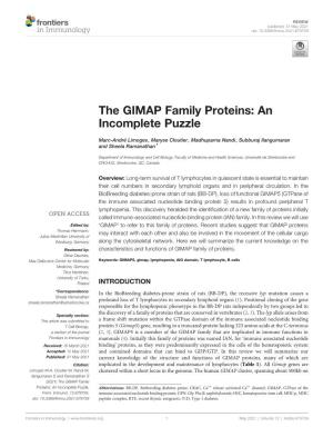 The GIMAP Family Proteins: an Incomplete Puzzle