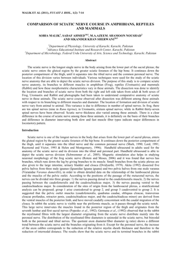 Comparison of Sciatic Nerve Course in Amphibians, Reptiles and Mammals