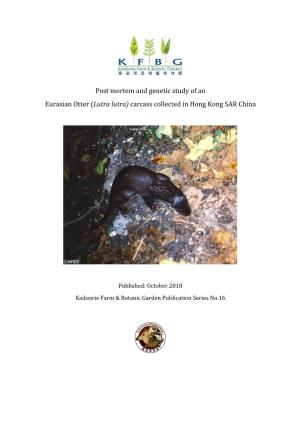 Post Mortem and Genetic Study of an Eurasian Otter (Lutra Lutra) Carcass Collected in Hong Kong SAR