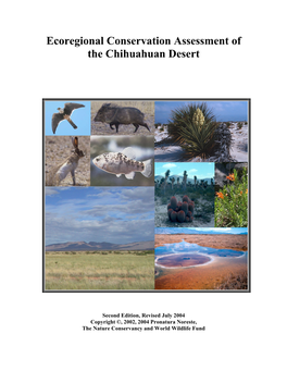 Ecoregional Conservation Assessment of the Chihuahuan Desert