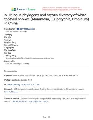 Toothed Shrews (Mammalia, Eulipotyphla, Crocidura) in China