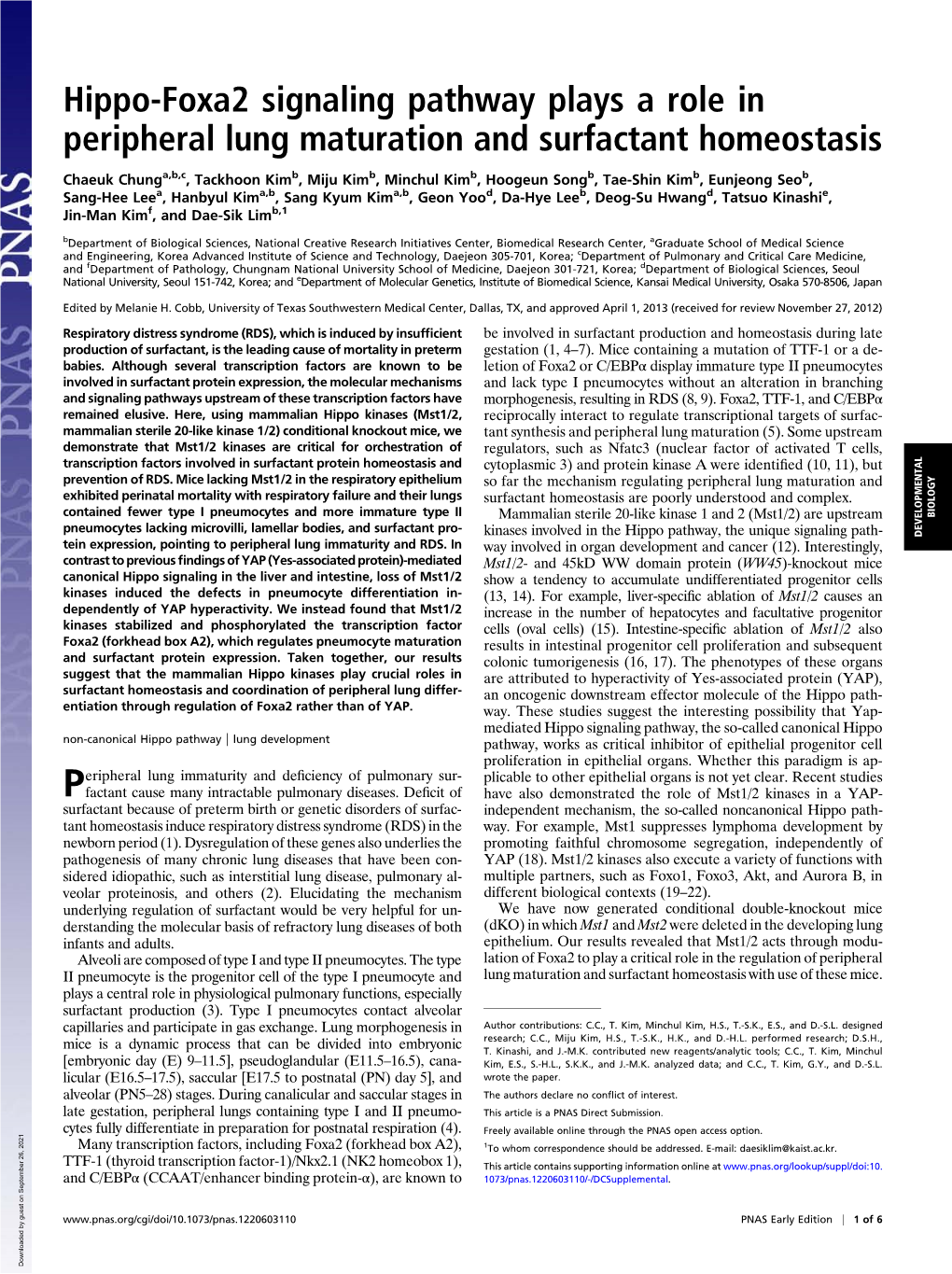 Hippo-Foxa2 Signaling Pathway Plays a Role in Peripheral Lung Maturation and Surfactant Homeostasis