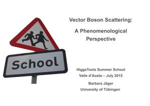 Vector Boson Scattering: a Phenomenological Perspective