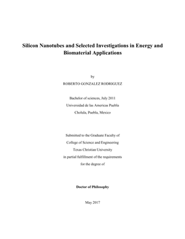 Silicon Nanotubes and Selected Investigations in Energy and Biomaterial Applications