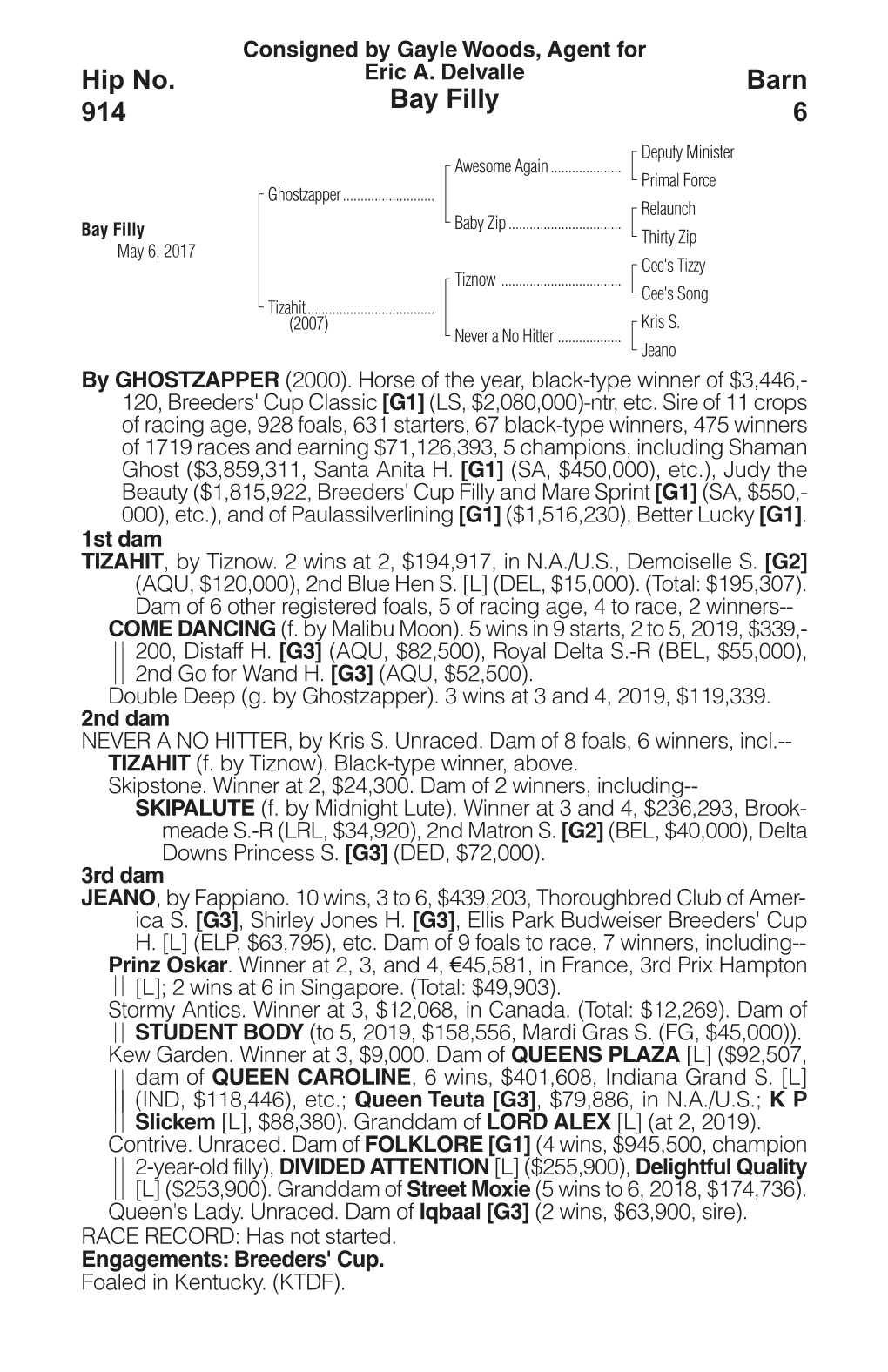 Bay Filly Barn 6 Hip No