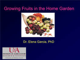 Growing Fruit in the Home Garden