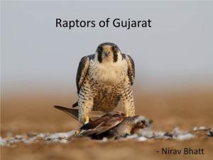 Raptors of Gujarat