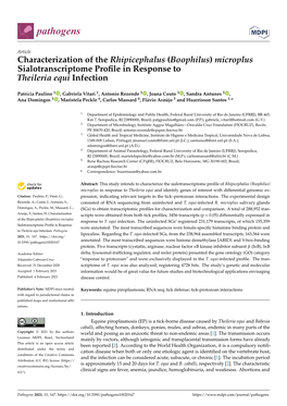 Characterization of the Rhipicephalus (Boophilus) Microplus Sialotranscriptome Proﬁle in Response to Theileria Equi Infection