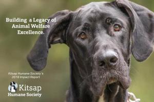 Building a Legacy of Animal Welfare Excellence