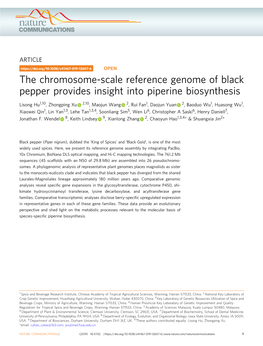 The Chromosome-Scale Reference Genome of Black Pepper Provides Insight Into Piperine Biosynthesis