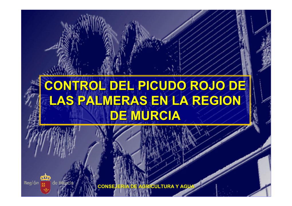 Control Del Picudo Rojo De Las Palmeras En La Region