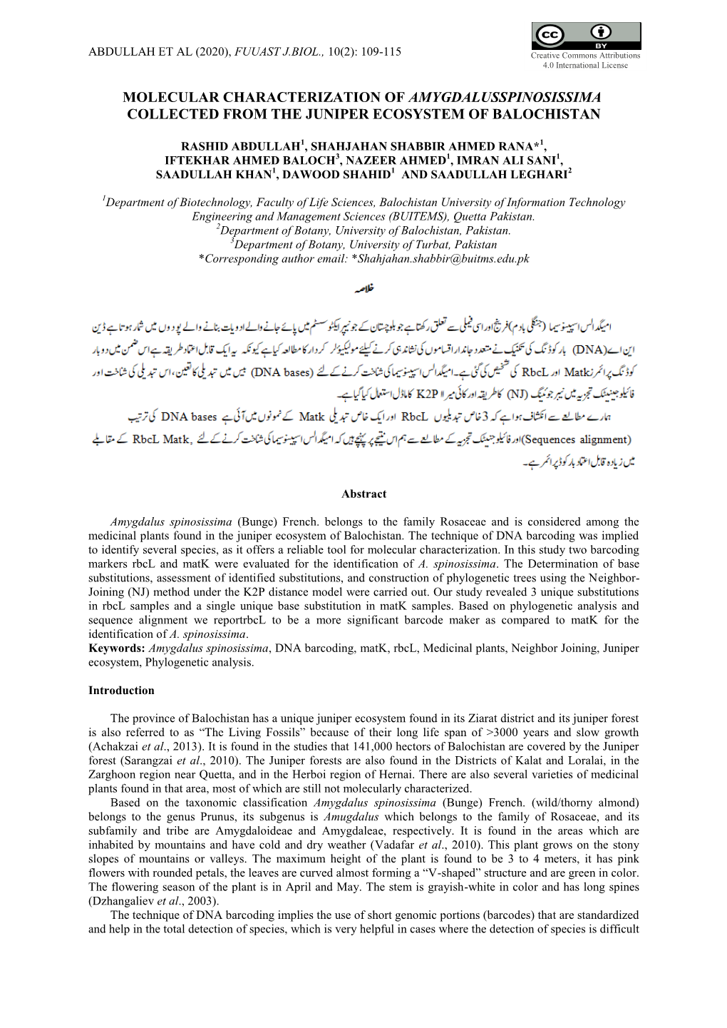 Molecular Characterization of Amygdalusspinosissima Collected from the Juniper Ecosystem of Balochistan