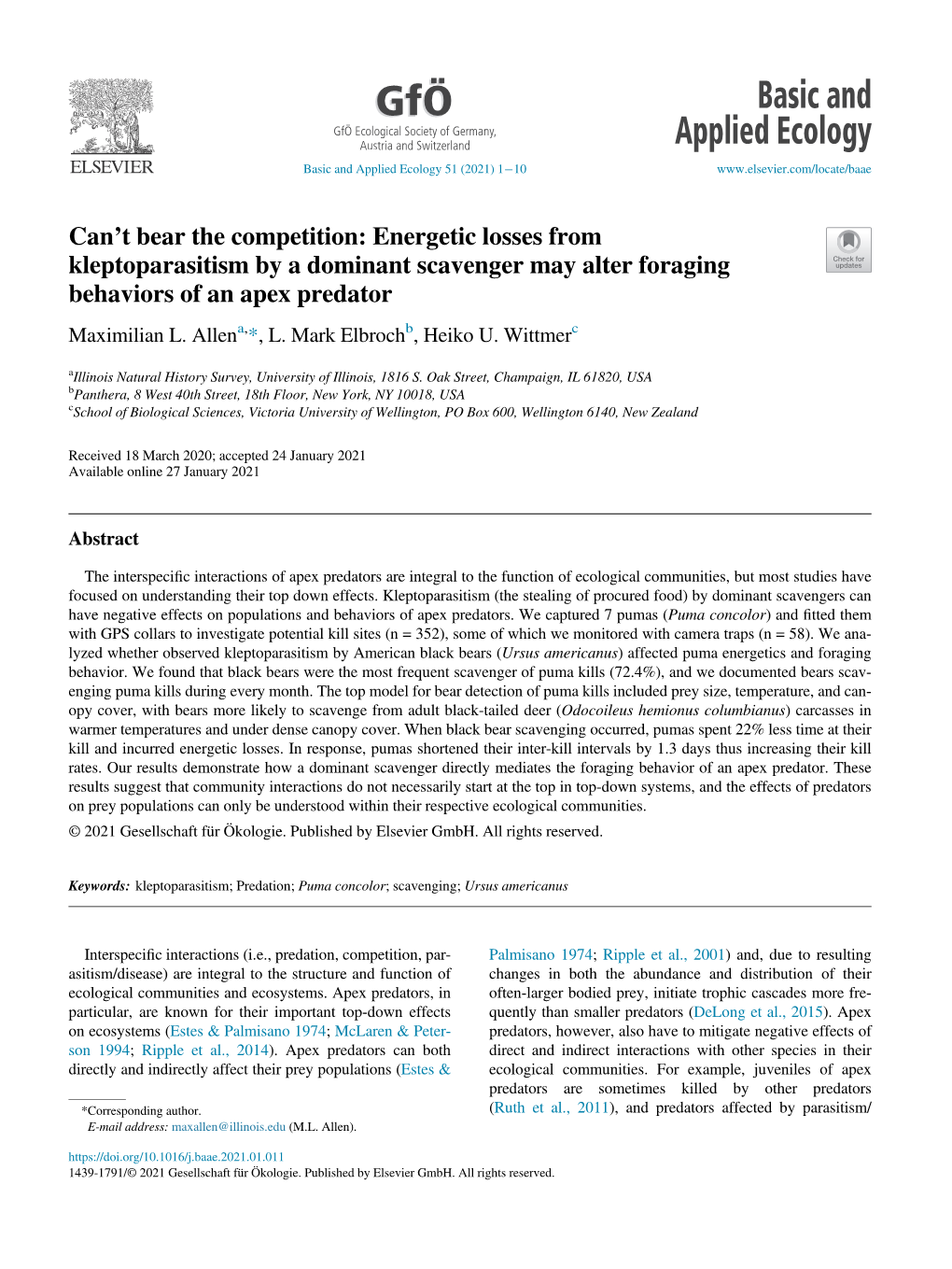 Can't Bear the Competition: Energetic Losses from Kleptoparasitism by A