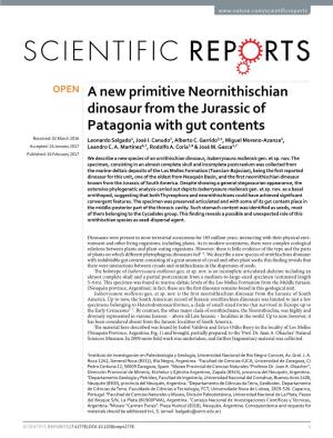 A New Primitive Neornithischian Dinosaur from the Jurassic of Patagonia with Gut Contents Received: 02 March 2016 Leonardo Salgado1, José I