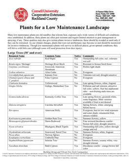 Plants for a Low Maintenance Landscape