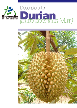 Descriptors for Durian (Durio Zibethinus Murr.)