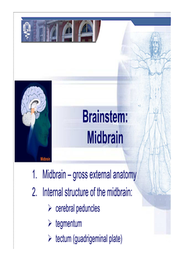 Brainstem: Midbrain