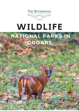 Wildlife National Parks in Dooars