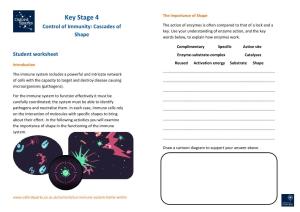 Key Stage 4 Control of Immunity: Cascades of Shape Student Worksheet