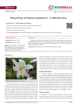 Bioactivity of Lilium Candidum L : a Mini Review