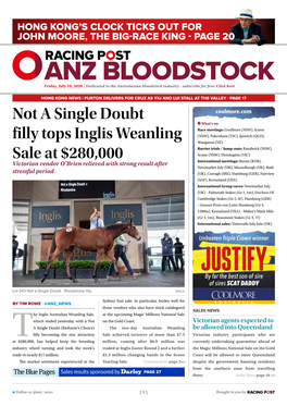 Not a Single Doubt Filly Tops Inglis Weanling Sale at $280,000 | 2 | Friday, July 10, 2020