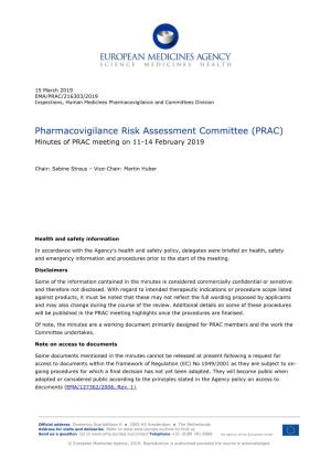 11-14 February 2019 PRAC Meeting Minutes
