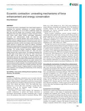 Eccentric Contraction: Unraveling Mechanisms of Force Enhancement and Energy Conservation Kiisa Nishikawa*