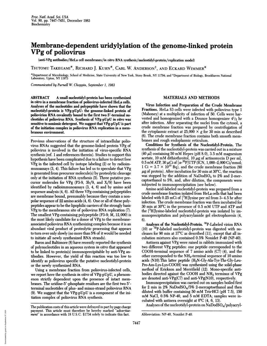 Vpg of Poliovirus (Anti-Vpg Antibodies/Hela Cell Membranes/In Vitro RNA Synthesis/Nucleotidyl-Protein/Replication Model) TSUTOMU TAKEGAMI*, RICHARD J