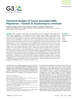 Functional Analysis of Cancer-Associated DNA Polymerase E Variants in Saccharomyces Cerevisiae