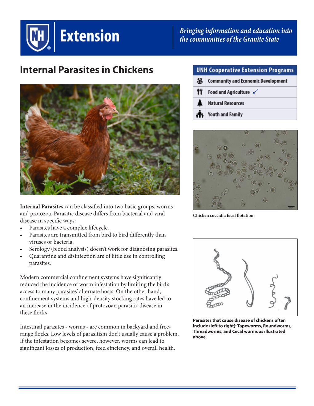 Internal Parasites in Chickens