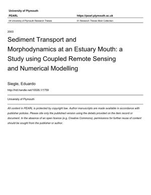Sediment Transport and Morphodynamics at an Estuary Mouth: a Study Using Coupled Remote Sensing and Numerical Modelling