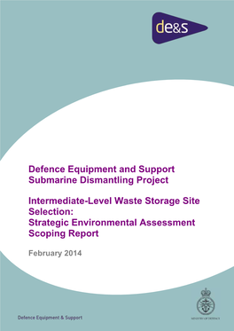 Strategic Environmental Assessment Scoping Report