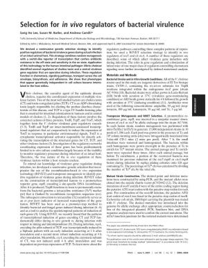 Selection for in Vivo Regulators of Bacterial Virulence
