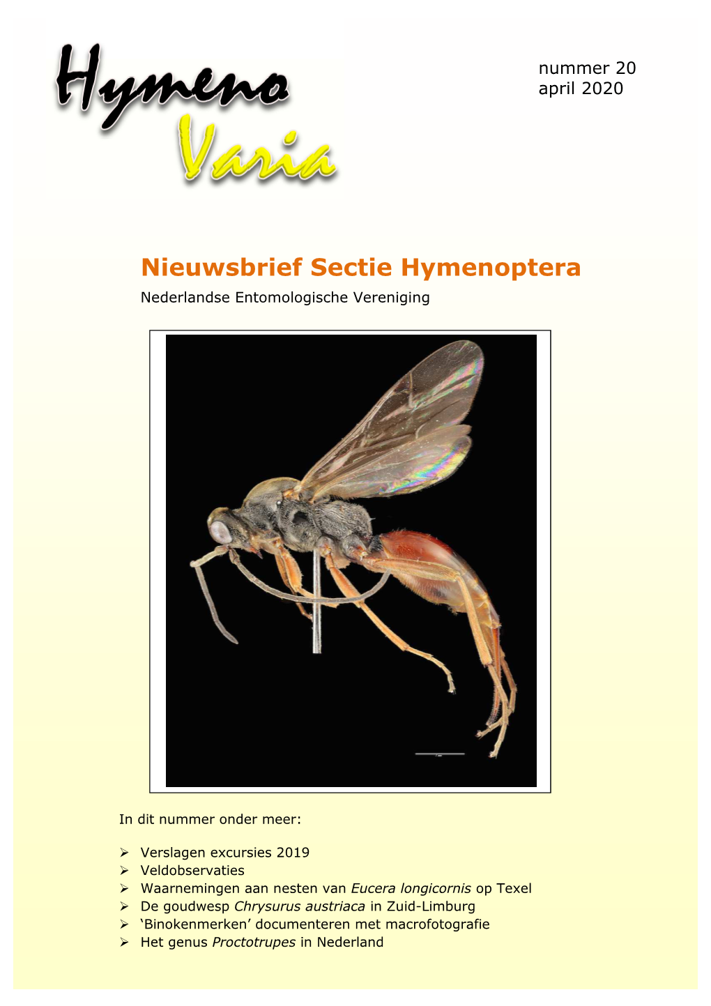 Nieuwsbrief Sectie Hymenoptera