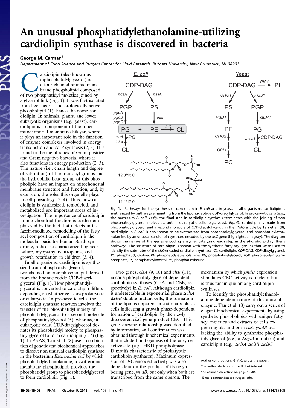 An Unusual Phosphatidylethanolamine-Utilizing Cardiolipin Synthase Is Discovered in Bacteria