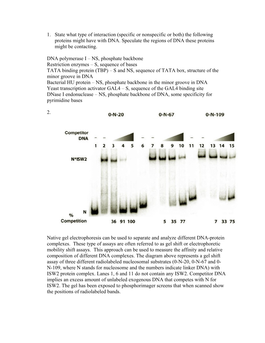 DNA Polymerase I NS, Phosphate Backbone