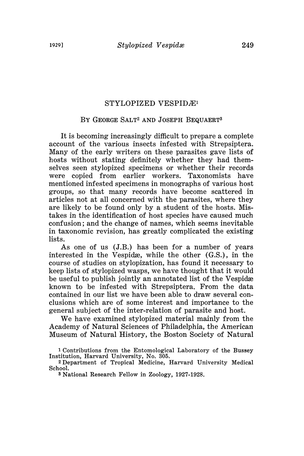 STYLOPIZED Vespidze by GEORGE SALT2 and JOSEPH BEQUAERT