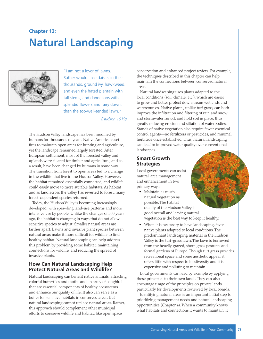 Chapter 13: Natural Landscaping