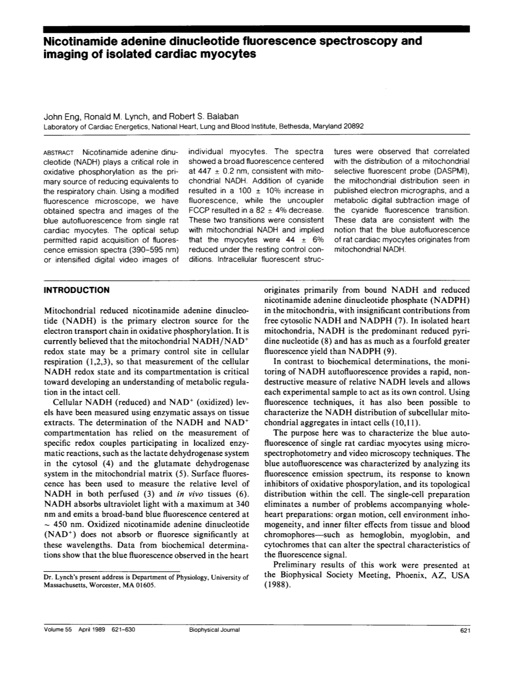 Nicotinamide Adenine Dinucleotide Fluorescence Spectroscopy and Imaging of Isolated Cardiac Myocytes