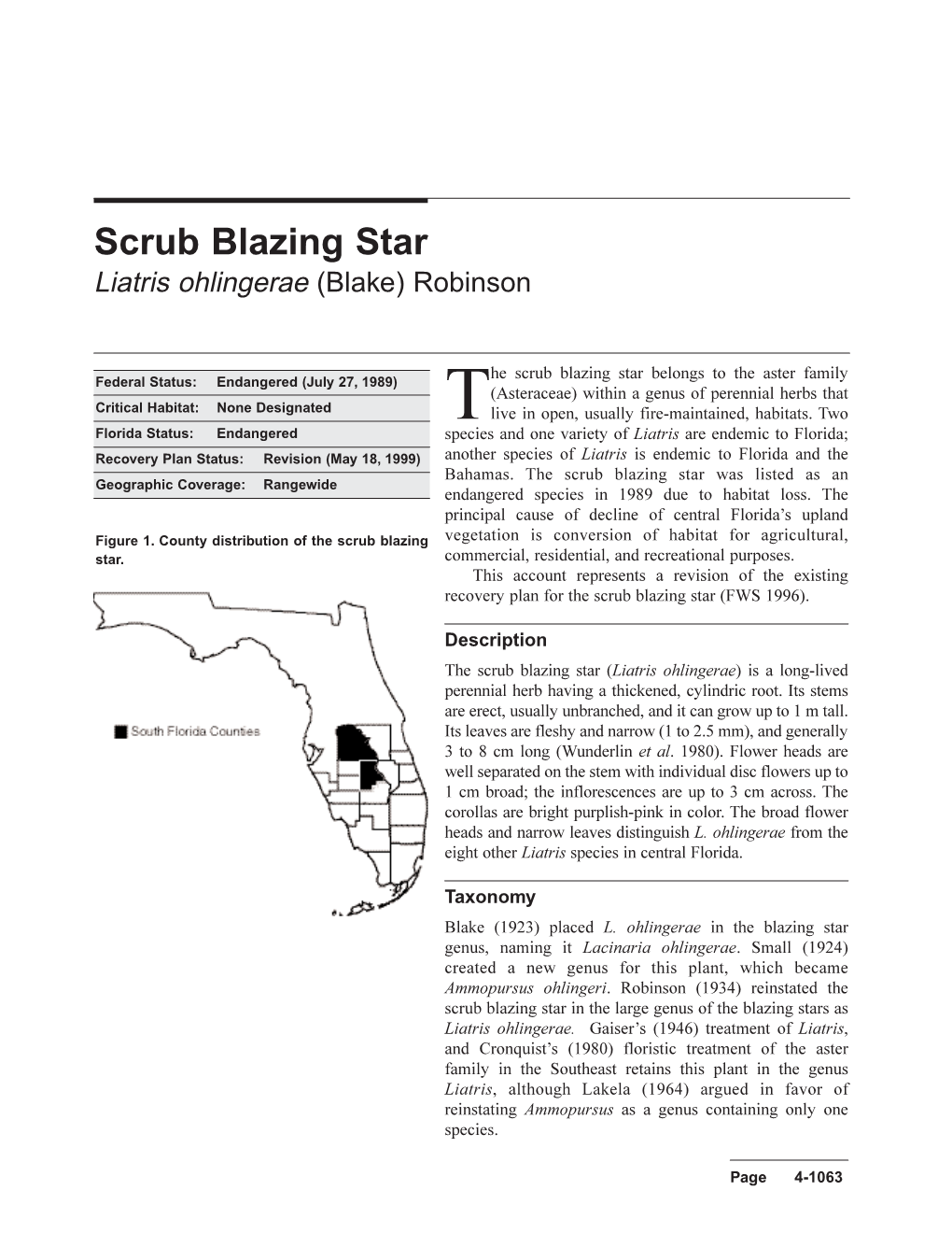 Scrub Blazing Star Liatris Ohlingerae (Blake) Robinson