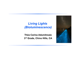 Living Lights (Bioluminescence)