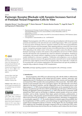 Purinergic Receptor Blockade with Suramin Increases Survival of Postnatal Neural Progenitor Cells in Vitro