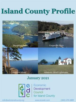 Island County Profile 2020