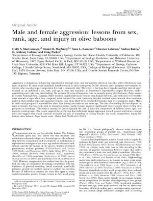Male and Female Aggression: Lessons from Sex, Rank, Age, and Injury in Olive Baboons