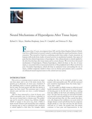 Neural Mechanisms of Hyperalgesia After Tissue Injury