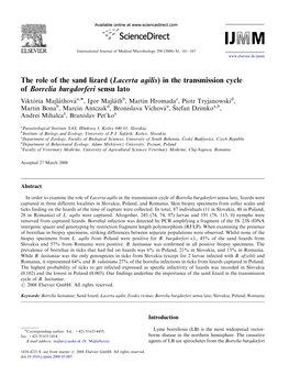 (Lacerta Agilis) in the Transmission Cycle of Borrelia Burgdorferi Sensu