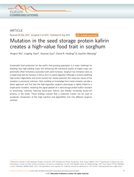 Mutation in the Seed Storage Protein Kafirin Creates a High-Value Food