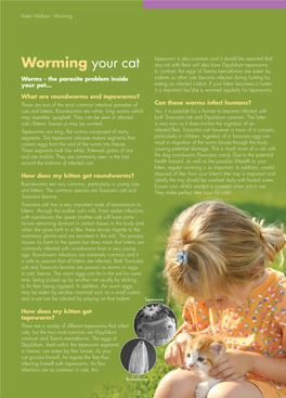 Worming Your Cat Any Cat with Fleas Will Also Have Dipylidium Tapeworms